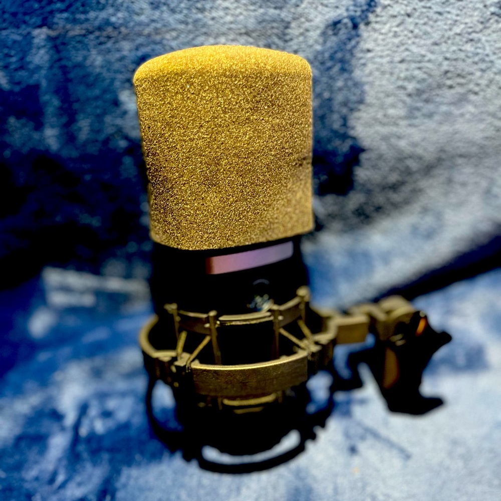 EKG c214 large diaphragm condenser microphone